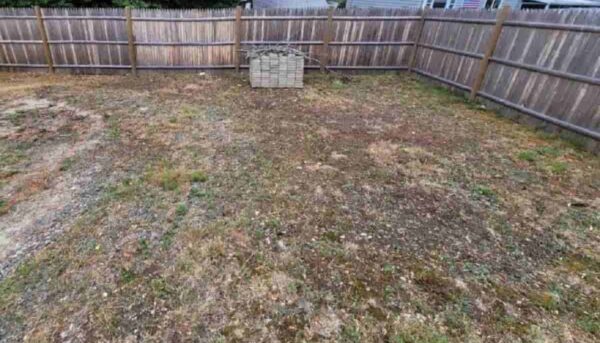 Fence Services