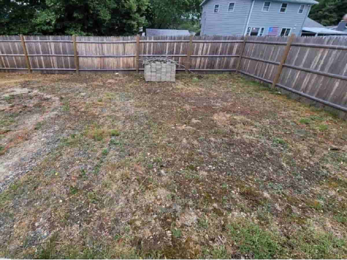 Fence Services