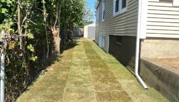 Lawn Care