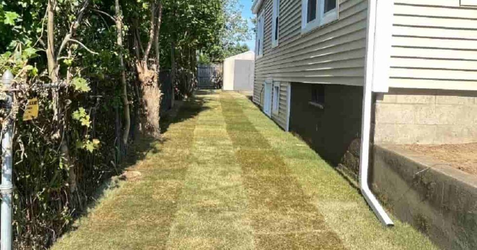 Lawn Care